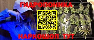 ГАЛЛЮЦИНОГЕННЫЕ ГРИБЫ Канаш
