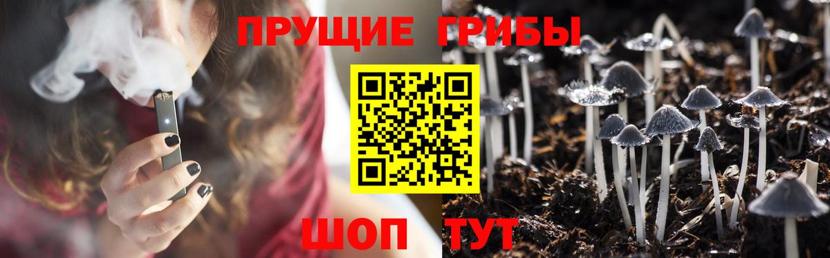Дагестанские Огни  Псилоцибиновые грибы MAGIC MUSHROOMS  Галлюциногенные грибы мухоморы  Вход с VPN 